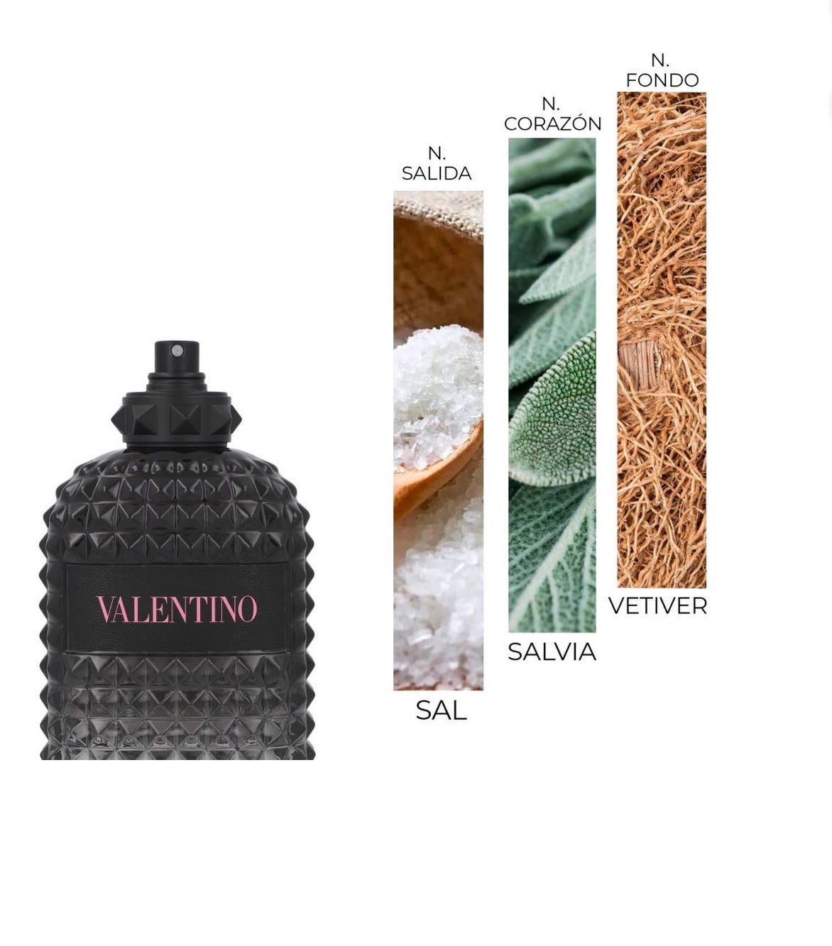 Valentino Donna Born In Roma