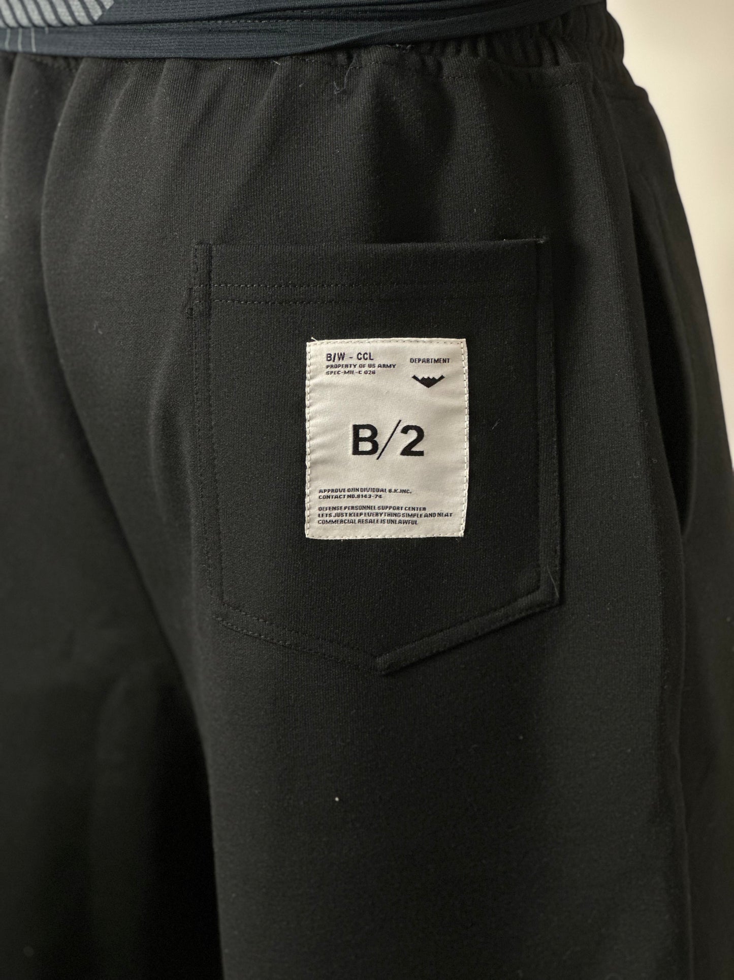 Short ARAT “B12”