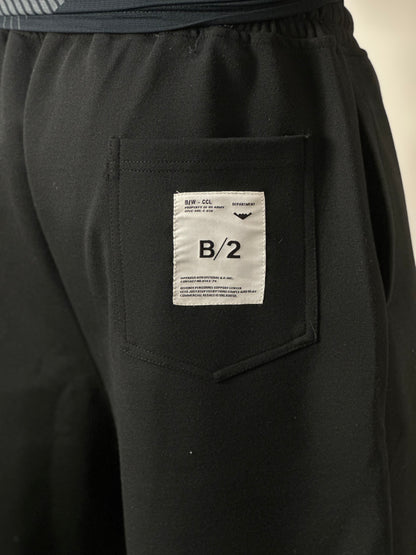 Short ARAT “B12”