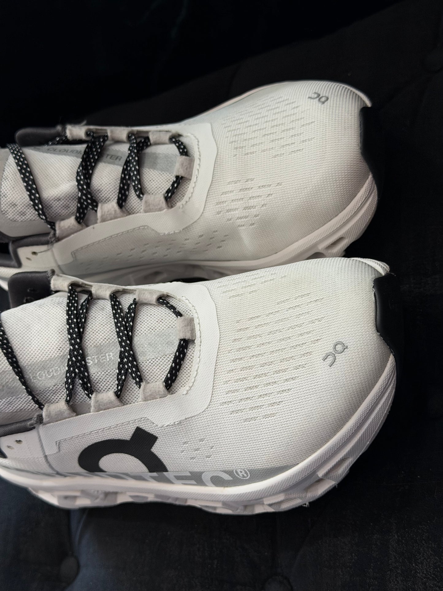 SNEAKER SPA